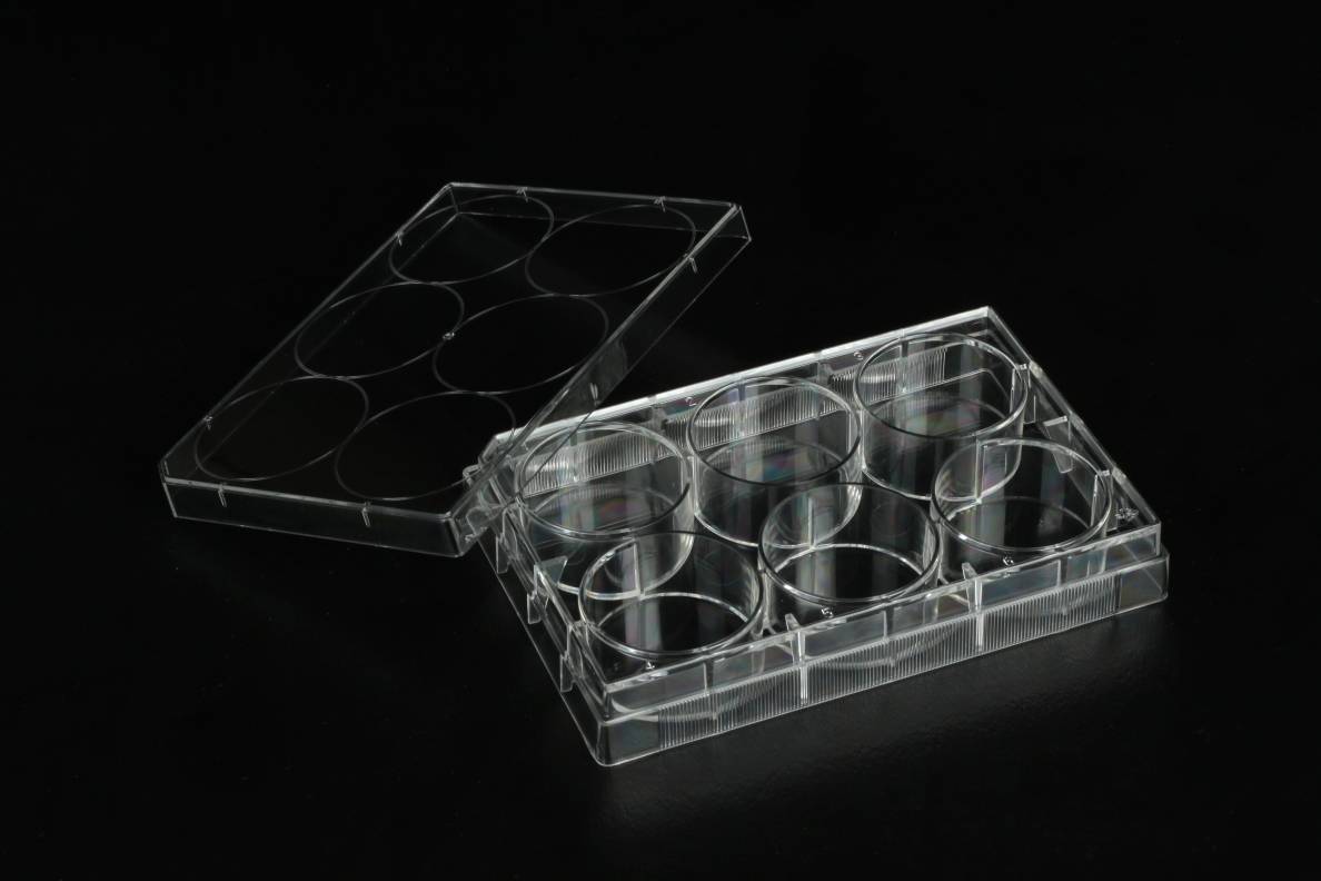 细胞培养板 (吸塑盒装)Tissue culture plates(paper/plastic blister pack)